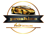 Proshine-Logo